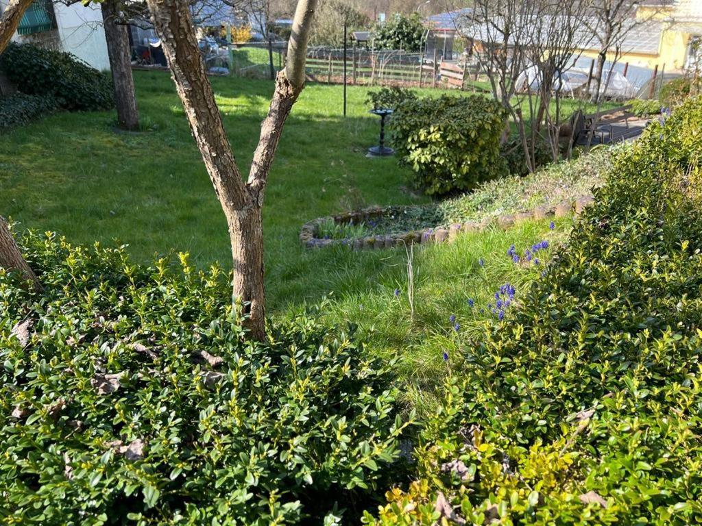 Ferien- Und Monteurwohnung Zum Waldblick エクステリア 写真